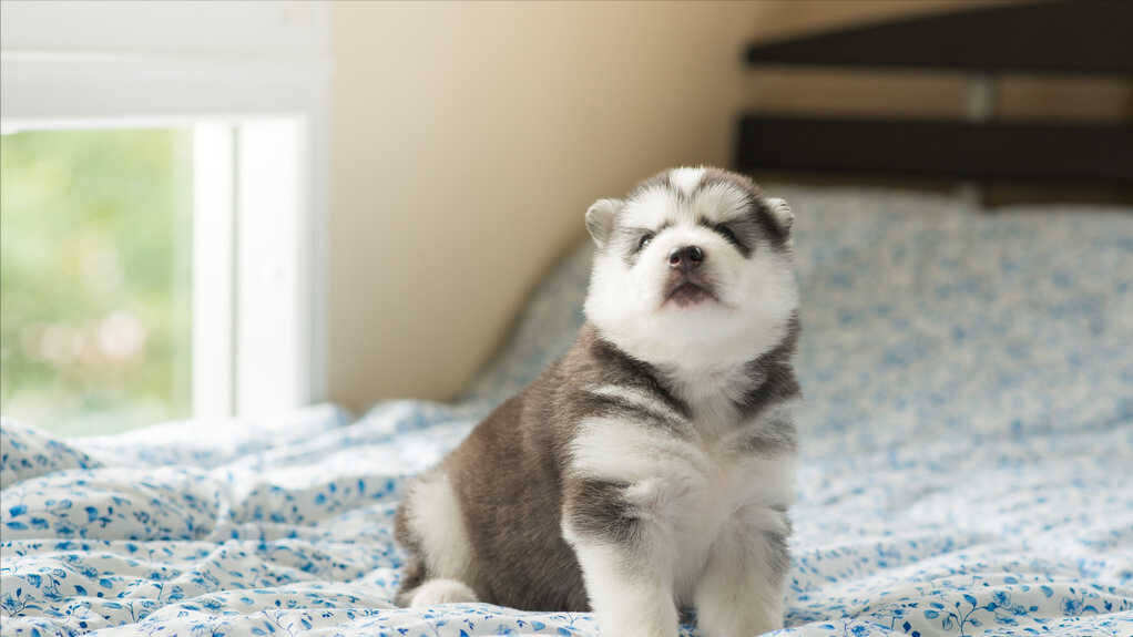 细思极恐的恐怖段子