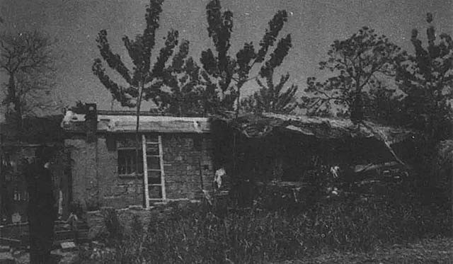 03年警方抓捕杨新海归案，庭审材料高达半米，专案组：有仇女心理