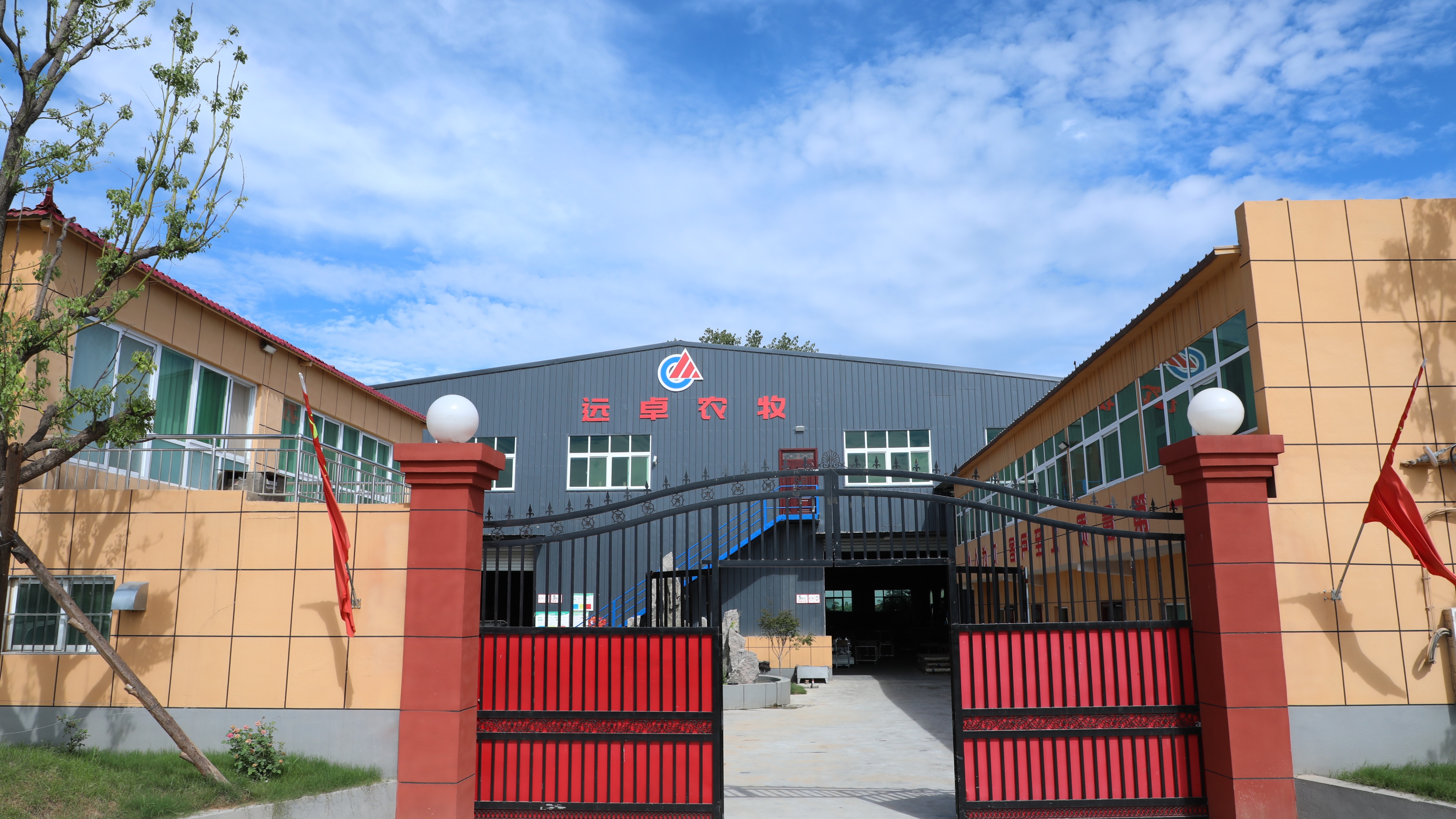 夏季到了，高溫天氣，謹(jǐn)防雞群熱應(yīng)激，危害不容小視