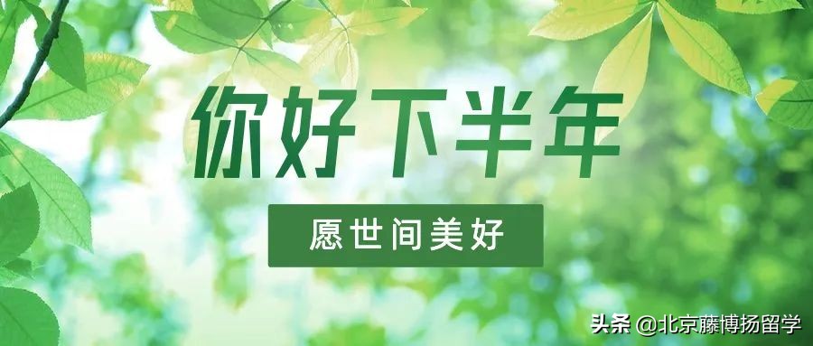 全球艺术大学世界排名（2022）