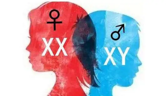 男生染色体是XY，女生的是XX，那染色体是YY的人又会是啥样的呢？