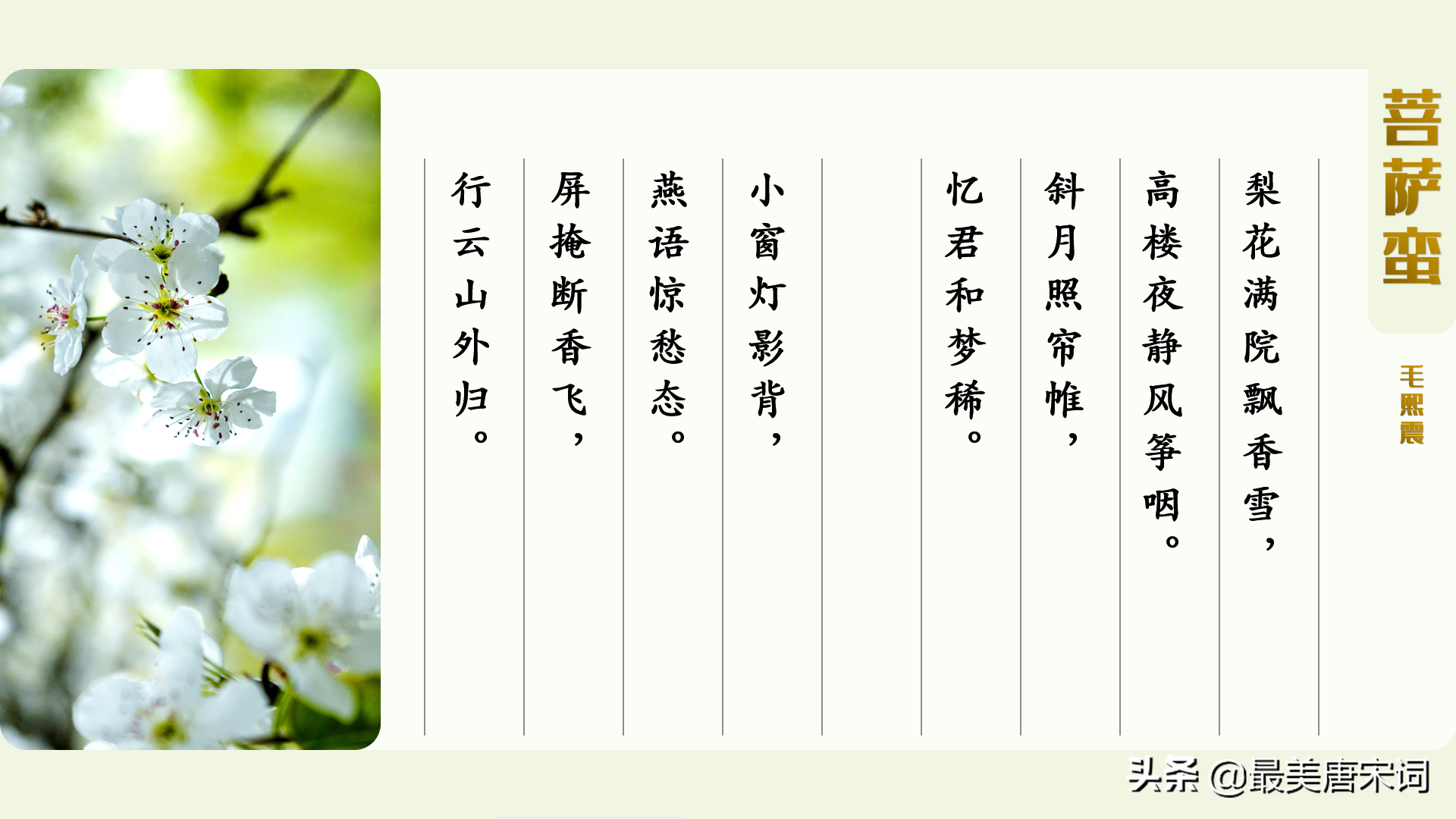 诗词里的春有百花 | 10首词感受10种花（唐五代部分，附深度解读）