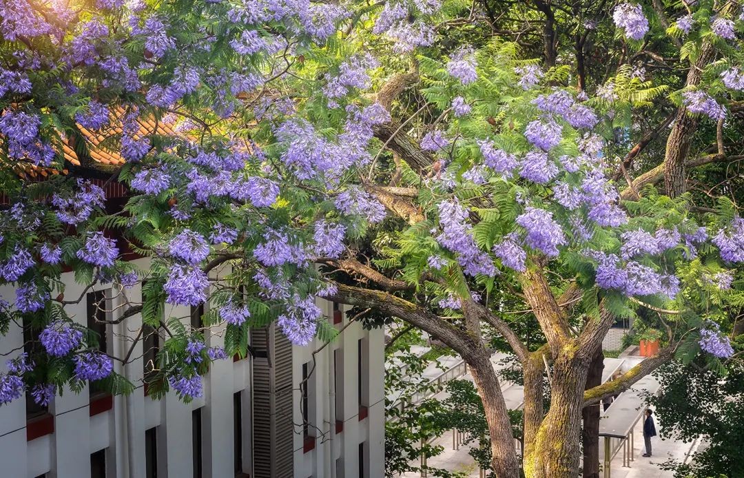 倒计时1天，高考加油！四川大学已准备好，等你赴约！