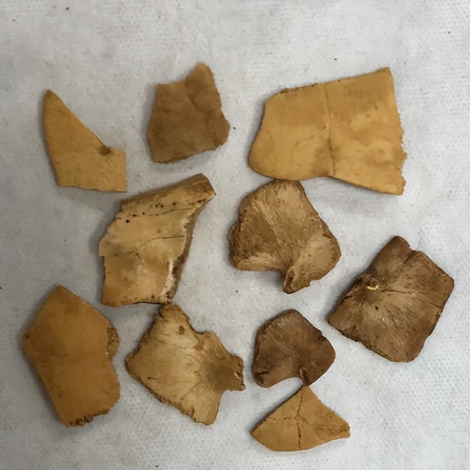 龟苓膏里到底有没有龟？