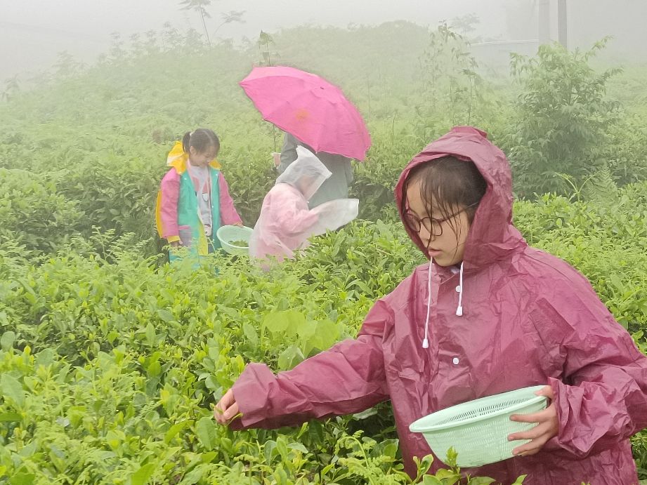 中国小记者学院举办“优秀全能小记者体验营”活动