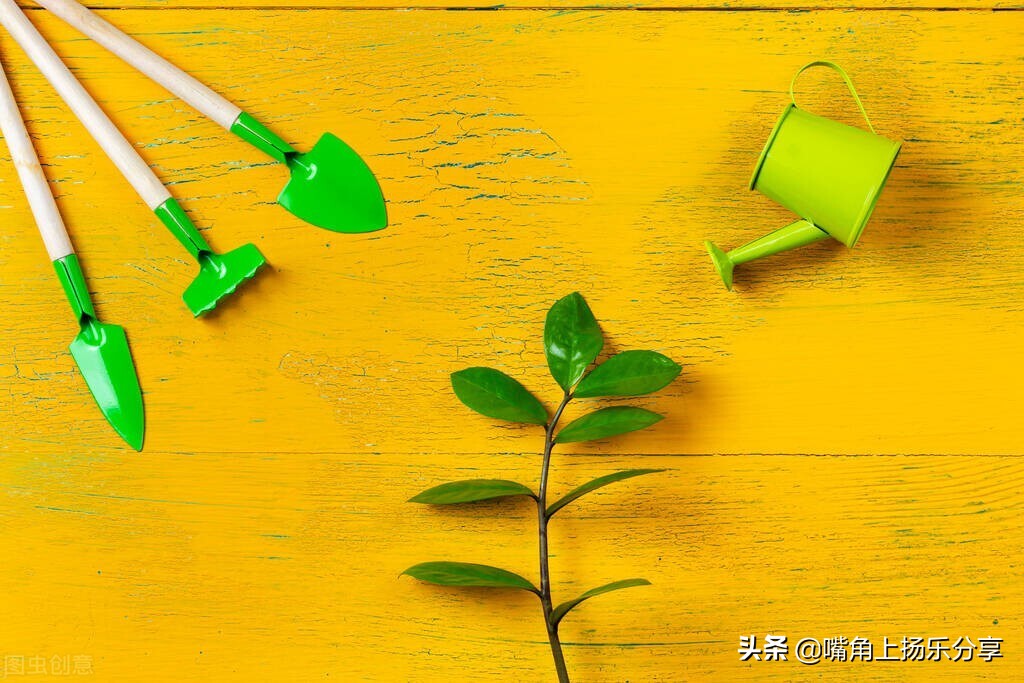 未来普通财务人员出路在哪里？