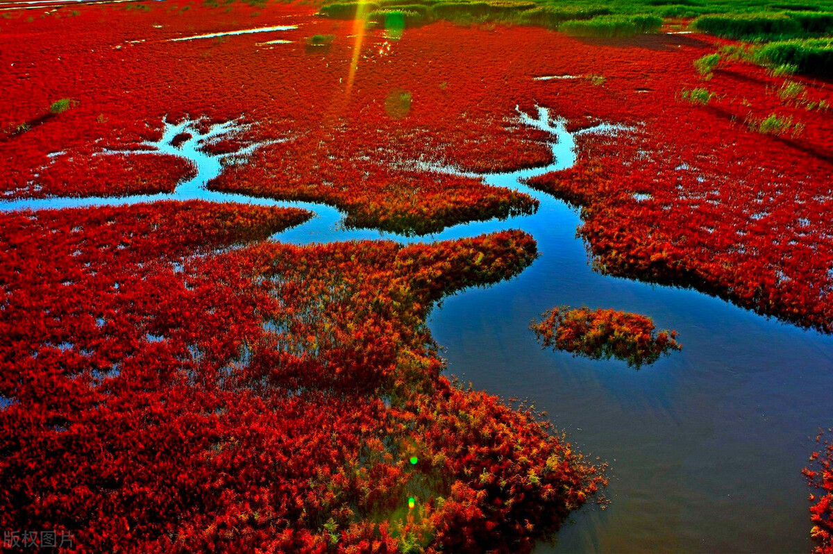 辽宁盘锦名片，风景如画的红海滩，你去过吗？