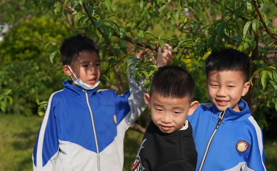夏花灿烂 定格微笑｜成都高新区中和小学用微笑迎接每一天