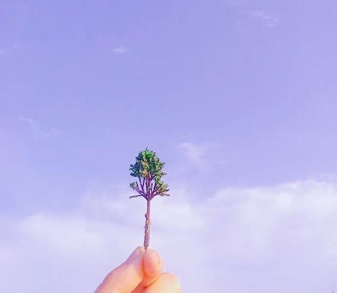 不去追逐，永远不会拥有；不往前走，永远都是原地逗留