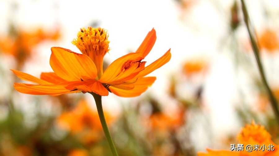 当相爱过的人不再联系时，聪明的女人通常会这样做，希望你也可以