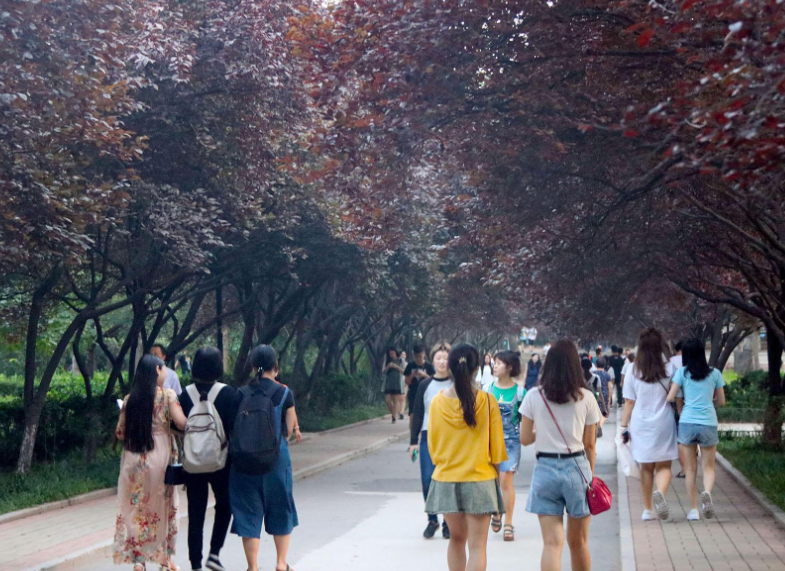 这3所“学院”已更名为“大学”，名字变高大上，实力也提升不少