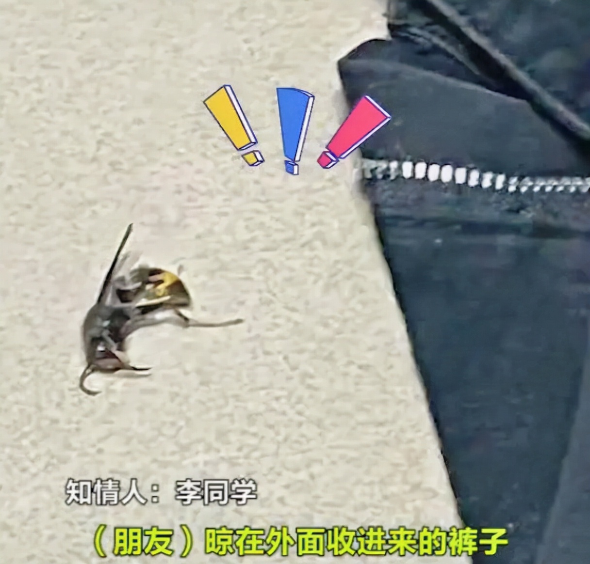 福建女大学生换衣服被蜇伤，舍友看着都心疼，腿上的纹身引争议