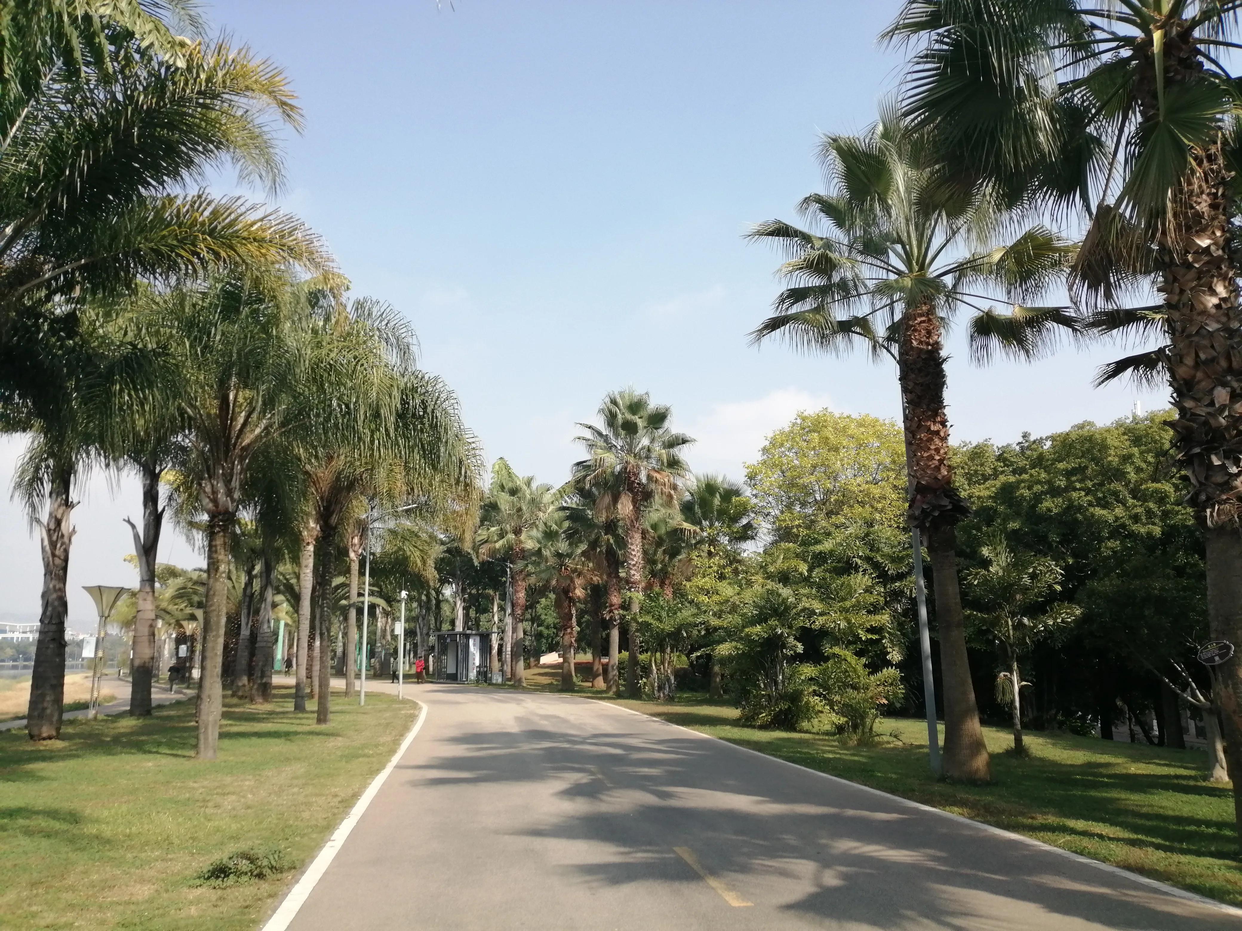 2021年的云南旅行旅居总结