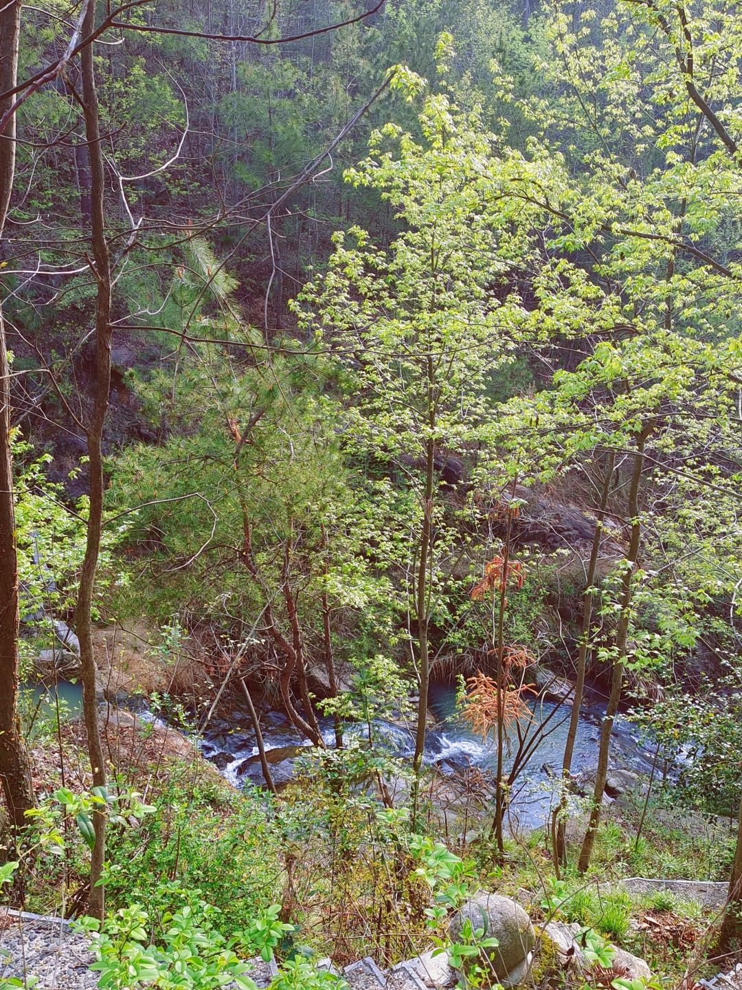 太治愈~武汉自驾2H，到山里去隐居~木屋森林溪水，神仙度假