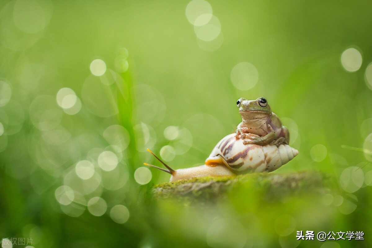 一眼惊艳的神仙标题，都是宝藏素材
