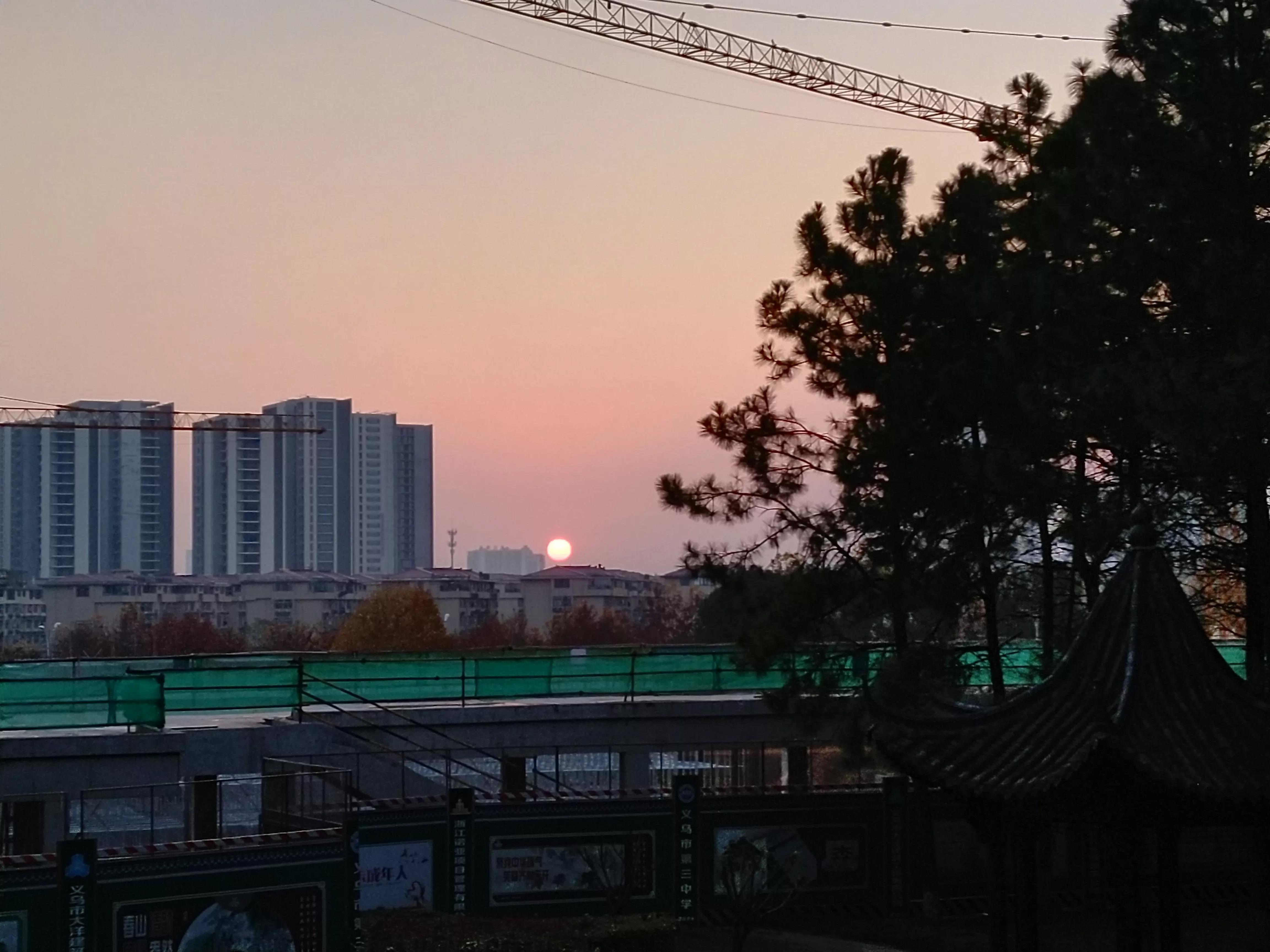 高考语言运用专练：词语搭配与补充句子技巧精讲