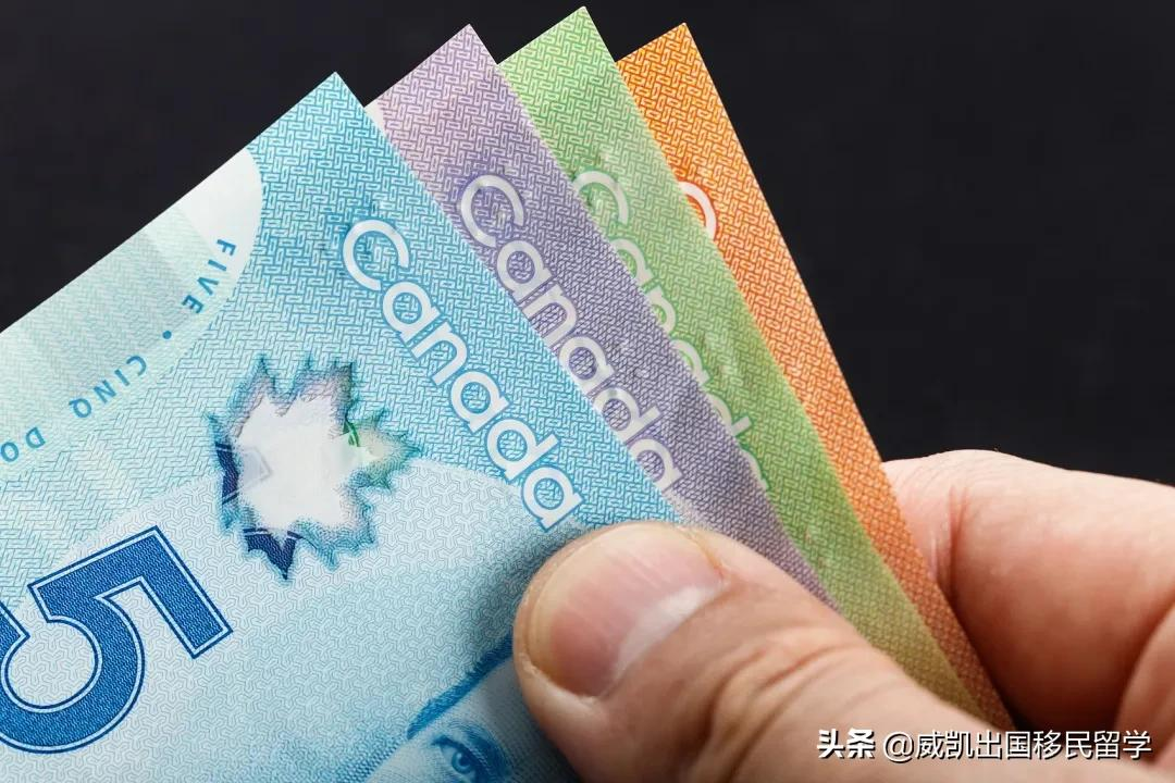 加拿大养老退休福利:不工作+没收入+零纳税,每月还能拿1584加币