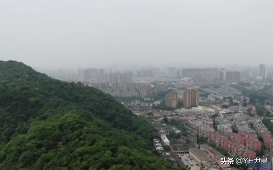 2020年两男子为了偷车，跑到汽车抵押公司卧底，结果闹出一堆笑话