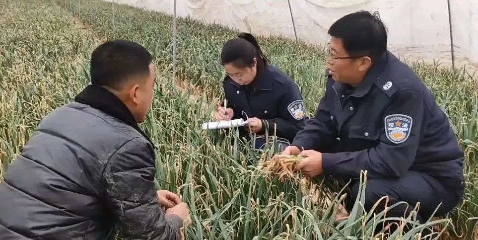 勁吹“平安風(fēng)”！慶陽如何蹚出命案治理“新路”