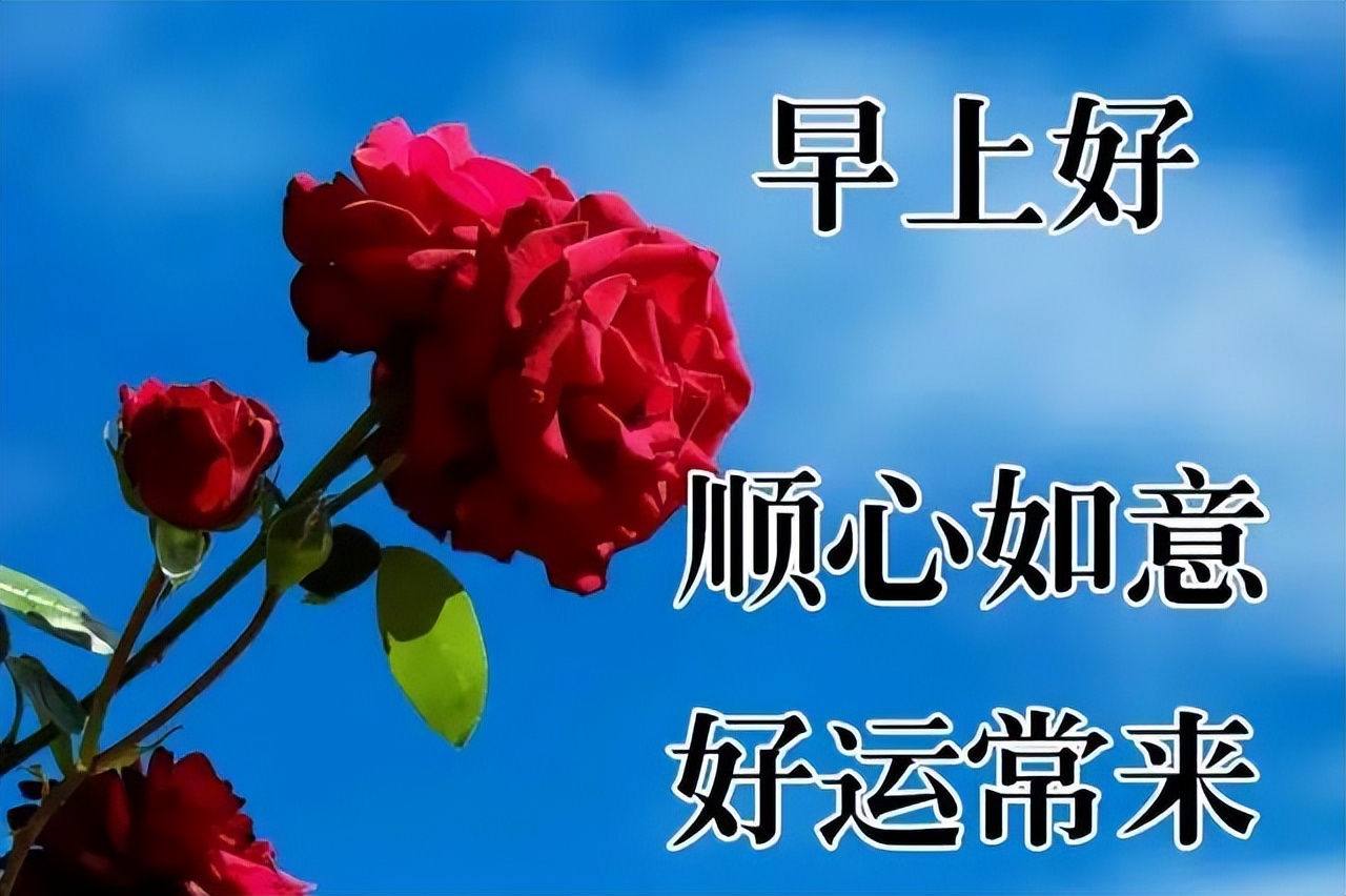 早上好的句子 早安祝福问候带字图图片