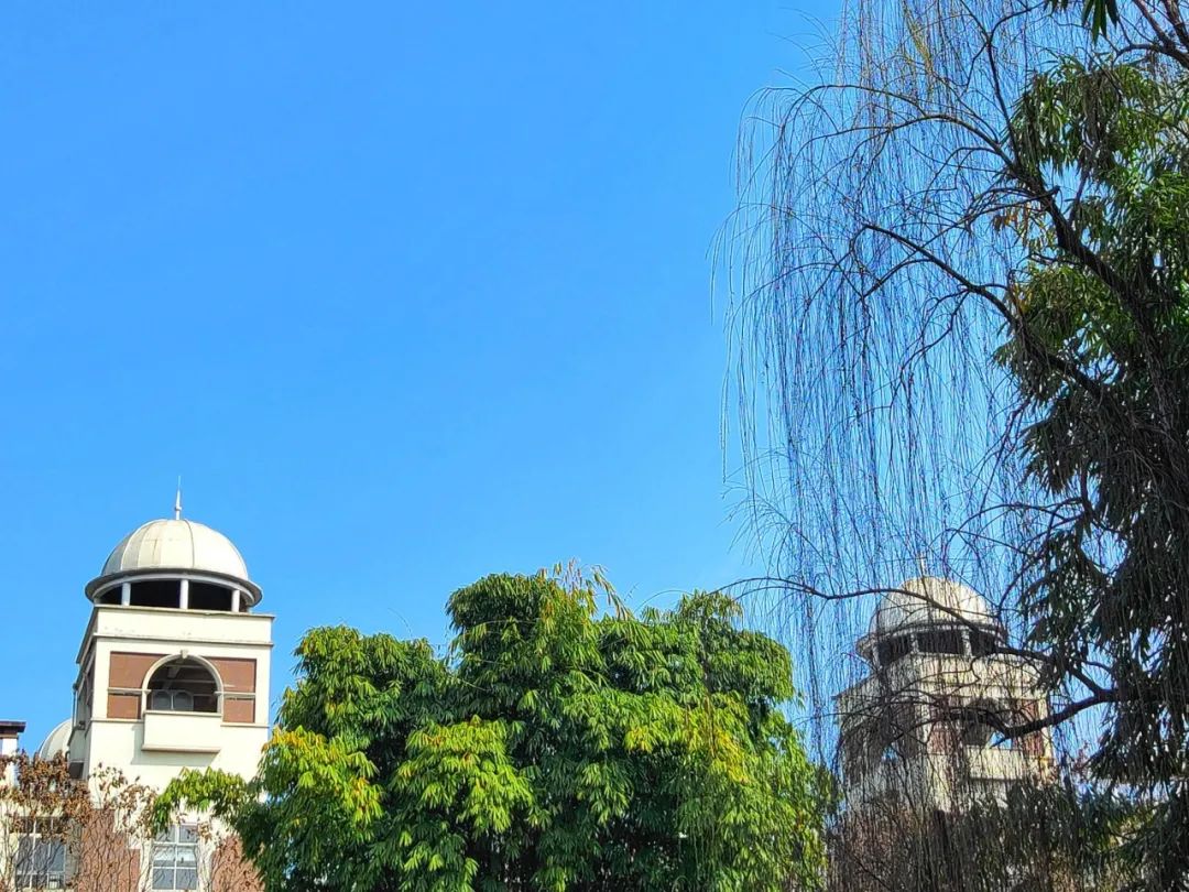 快来看看成都锦城学院的春日美景