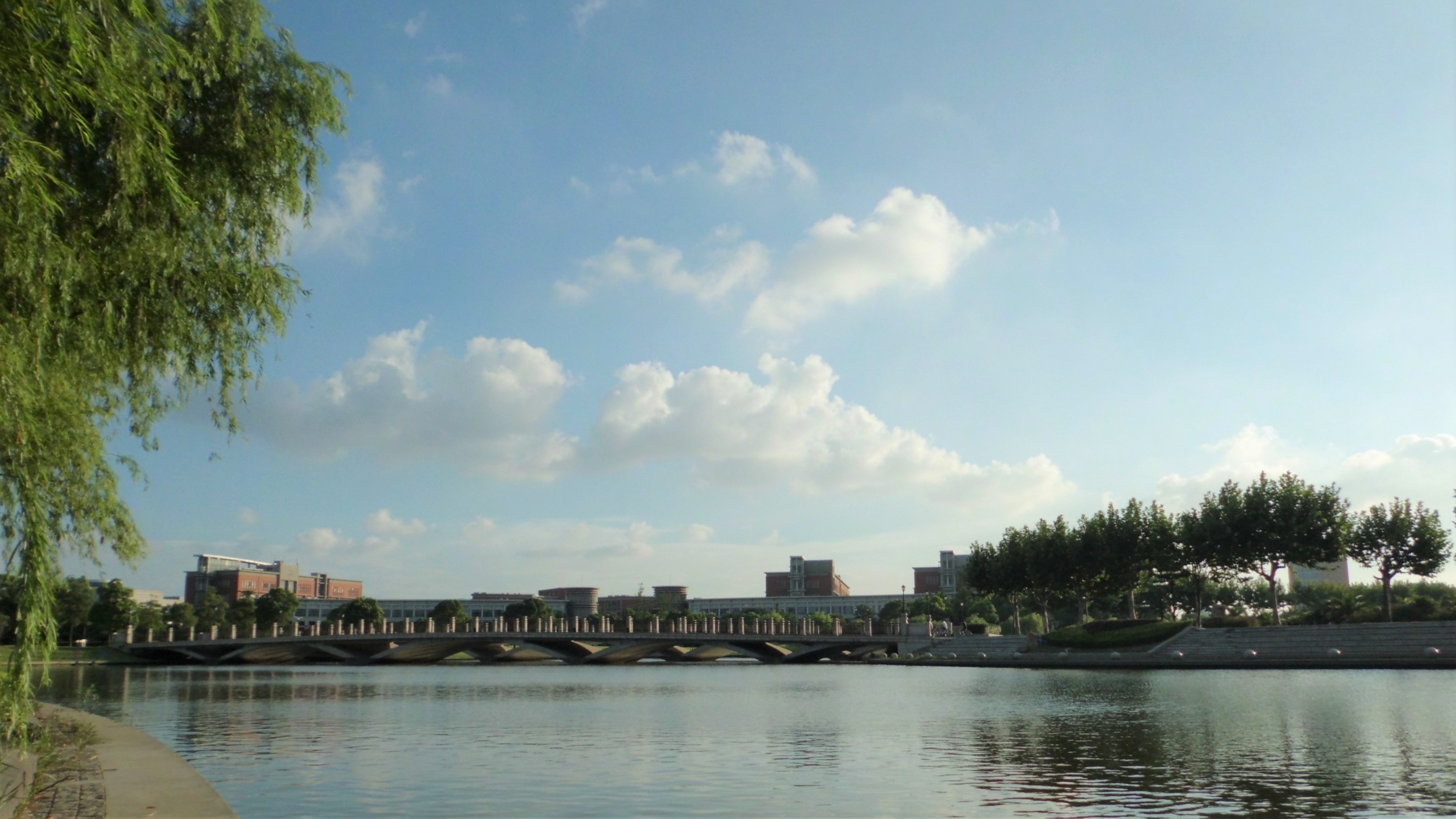 没人告诉你上海交通大学是一座非常美丽的校园吗？