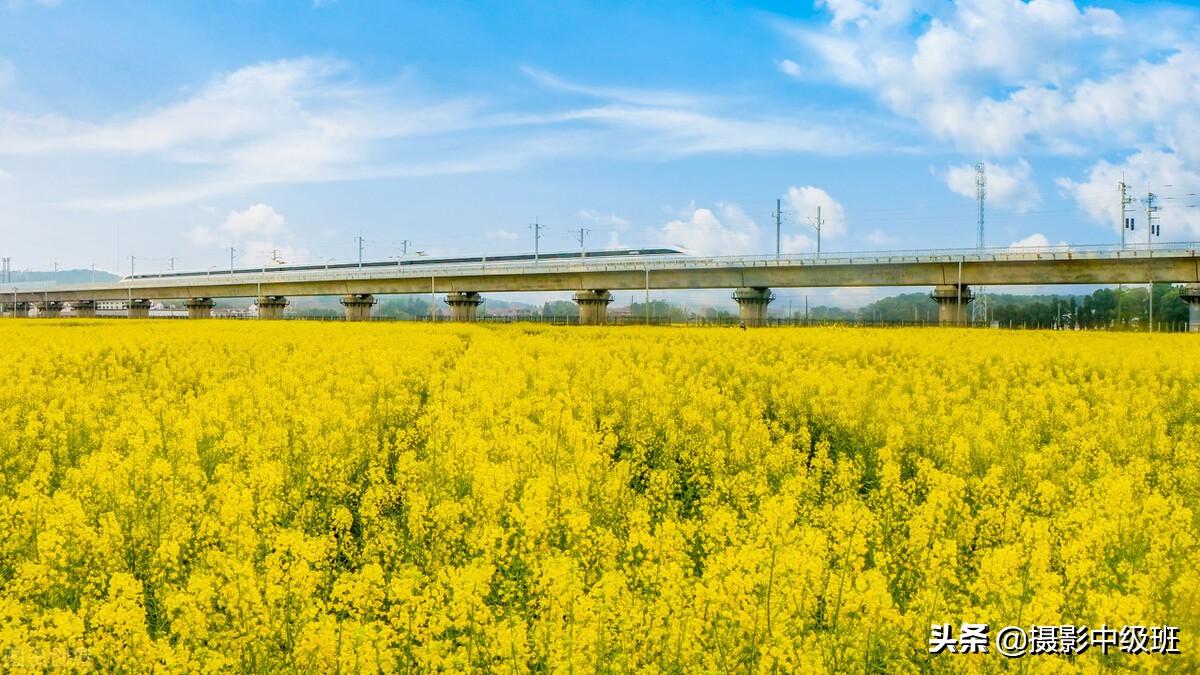 如何拍油菜花？死記這3個拍攝技巧，攝影新手也能拍好