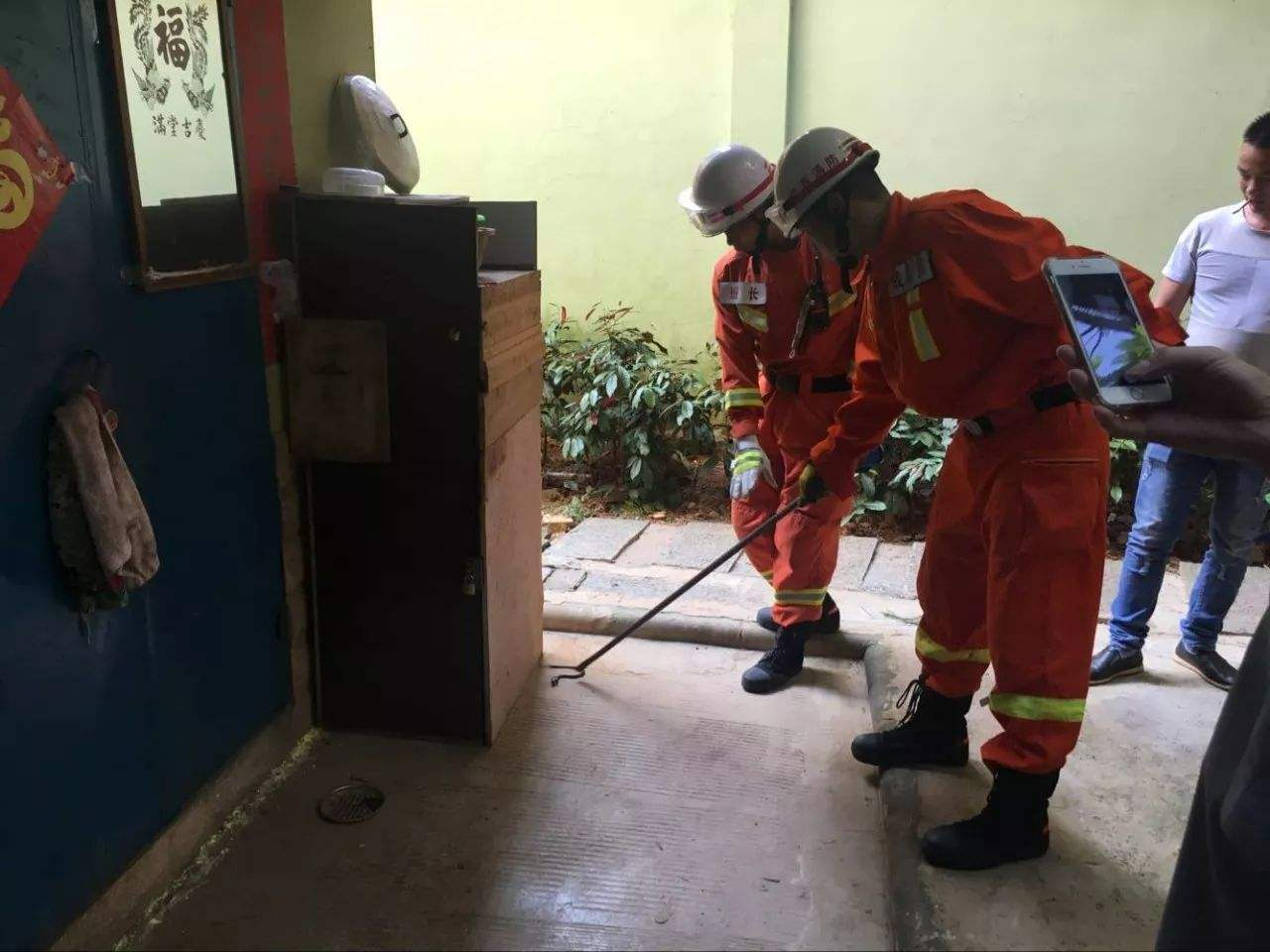 剧毒眼镜蛇现身贵州一学校！蛇真的不怕雄黄，如何才能防蛇？