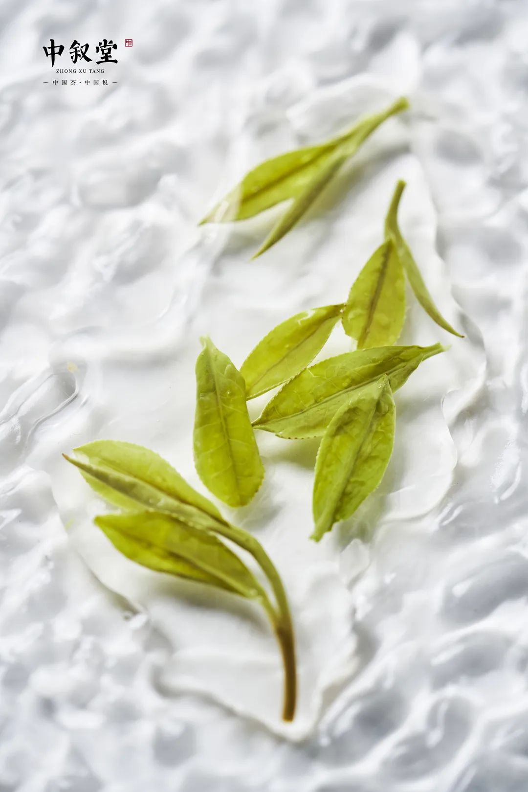 申时茶叙丨极致鲜爽绿，尽在茶中叙，中叙堂龙井茶欢迎尝鲜