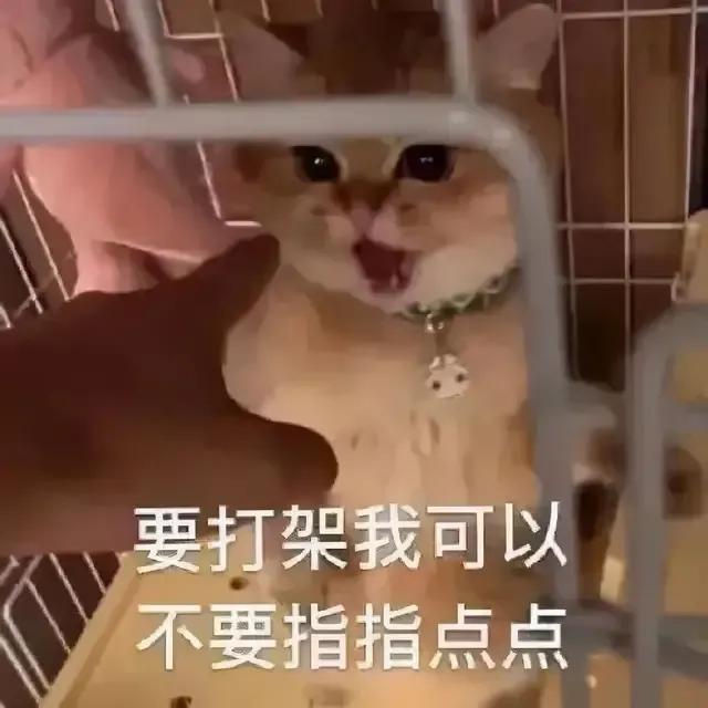 沙雕表情包