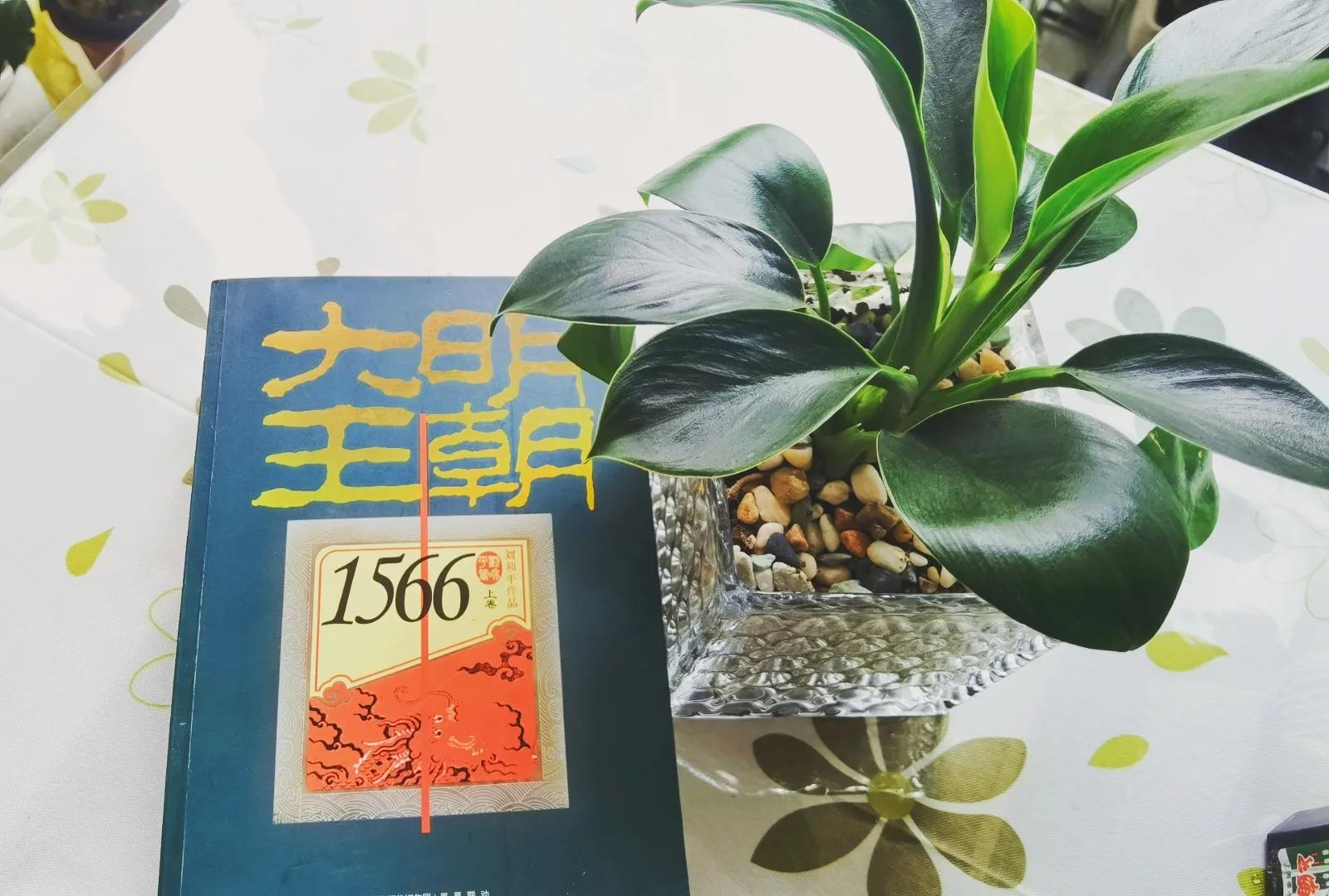 平衡术？从《琅琊榜2》到《雍正王朝》《大明王朝1566》