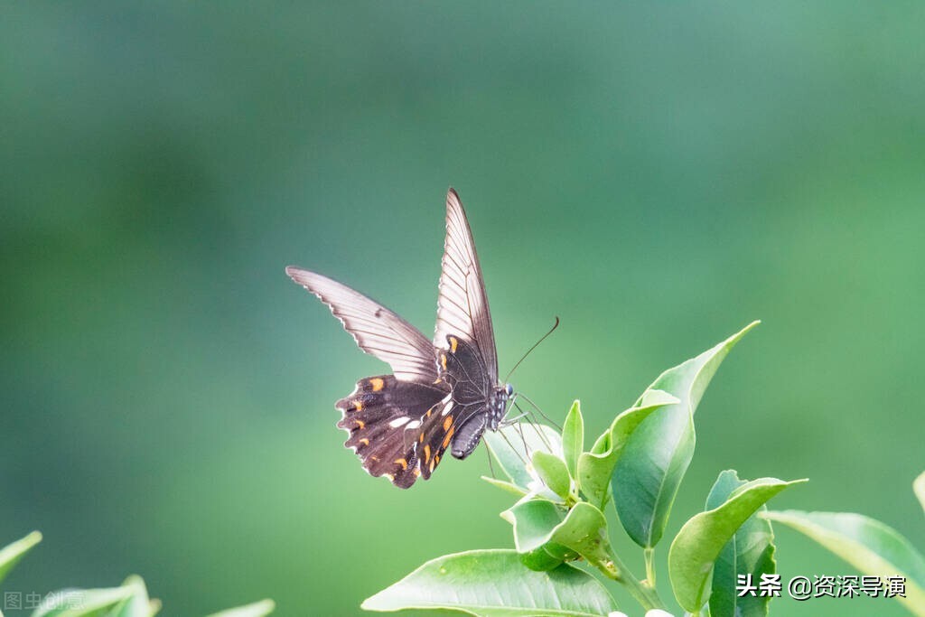 如何成为一名影视导演