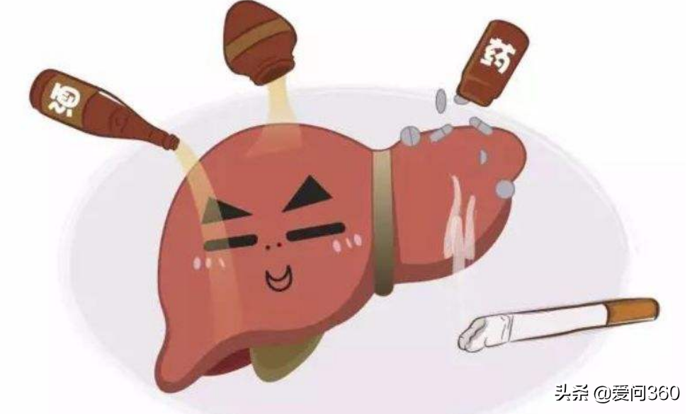 养肝的最佳时节到了，一定要注意这些事情，对身体好处很多