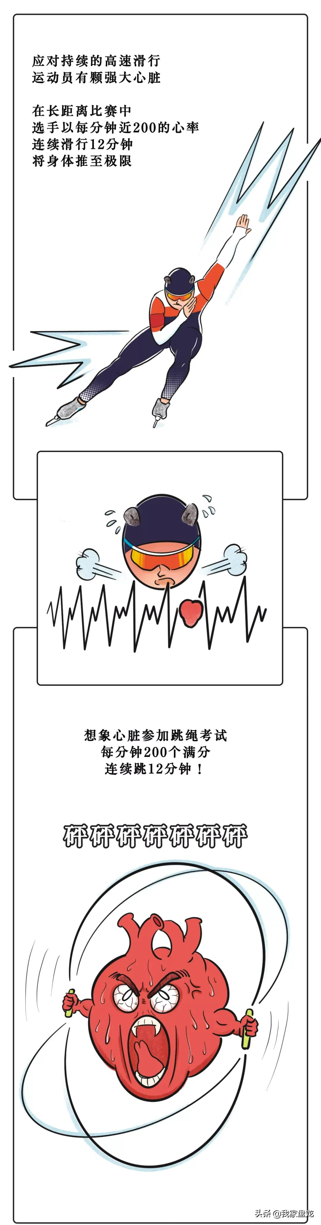 奥运会都有哪些项目的画法(一条漫画带你看懂北京冬奥会15个比赛项目！)