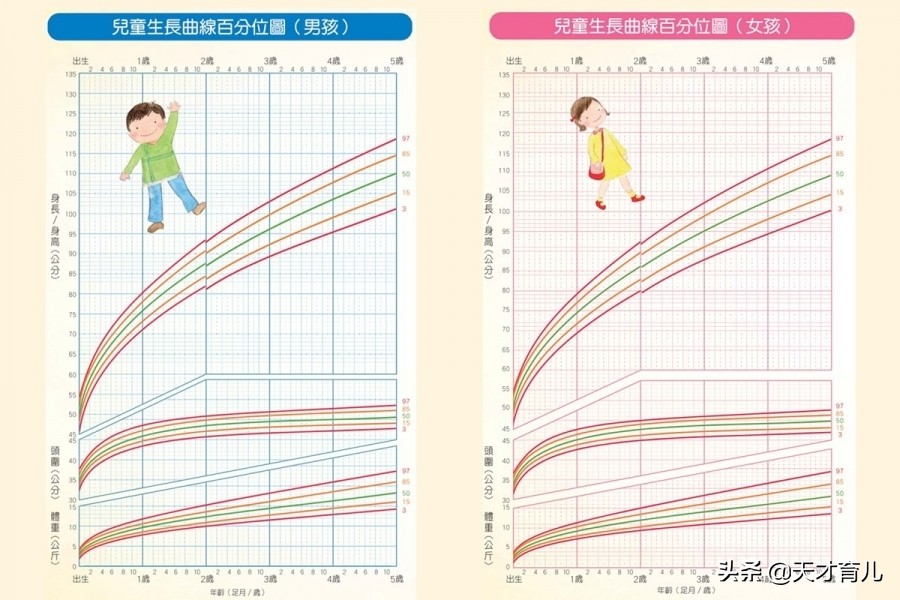 0-3岁生长曲线图这样！生长指标评估，把握一生一次脑发展关键期