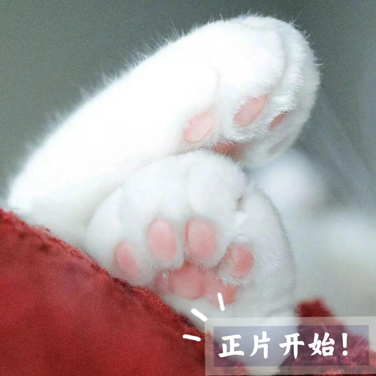 娱乐圈那些私生活混乱的男星，陈翔劈腿，陈浩民婚内“狼吻”嫩模