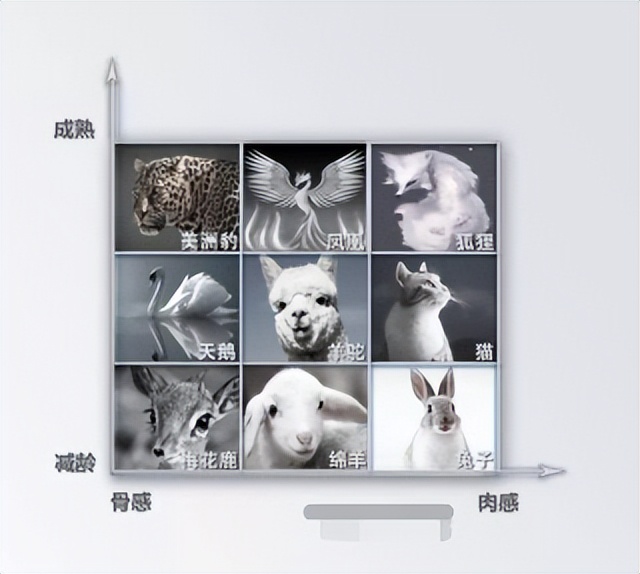 21岁金允熙演小学生毫不违和，新晋减龄系天花板，网友：逆龄童颜