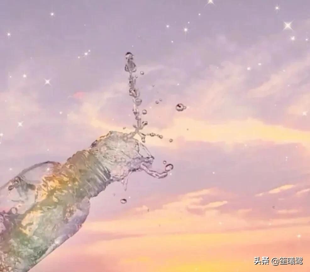 议论文高考（高考议论文素材摘抄）