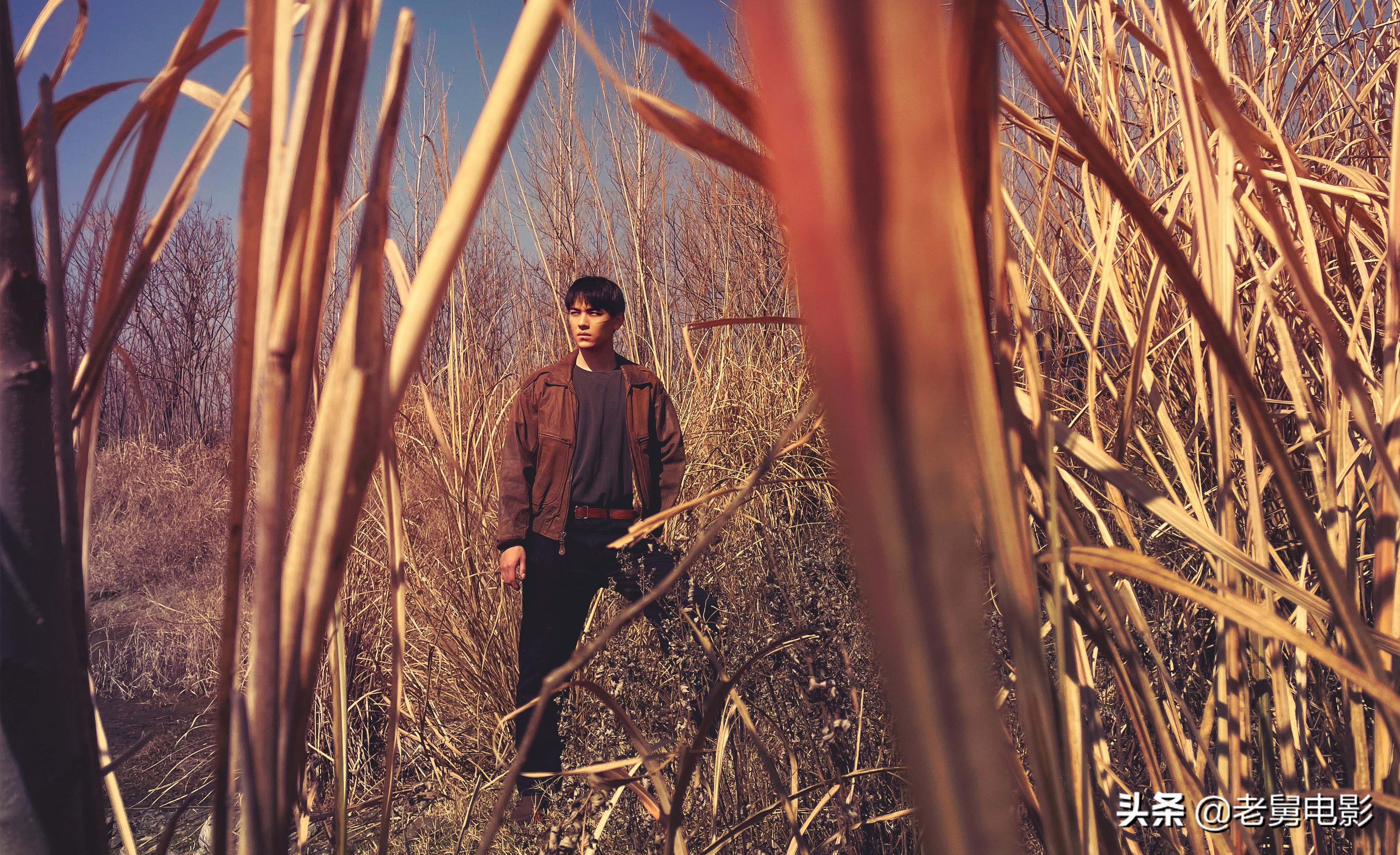 一部冷门悬疑佳作《远山淡影》，上半年最好看的悬疑电影没有之一
