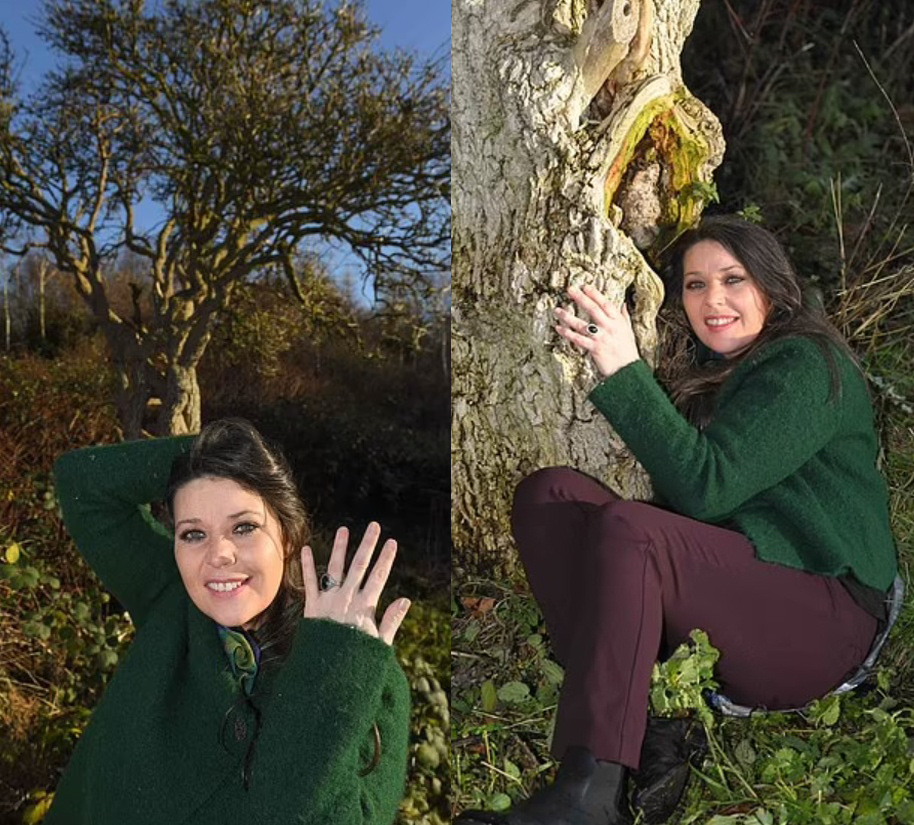 婚姻树测试(婚姻树免费测试) -情感知识库-donow知识库