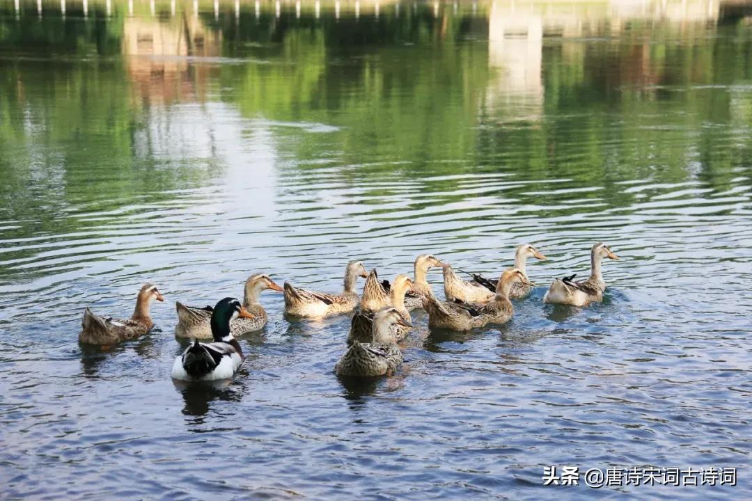 草木渐知春，萌芽处处新