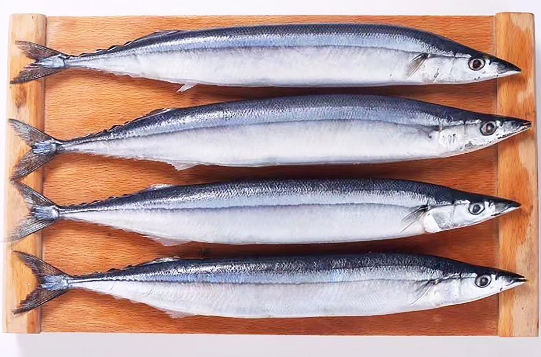 【第3种:秋刀鱼】