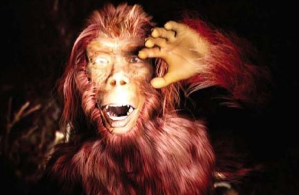 神农架野人真实照片(2003年"野人"再现神农架,村民找到野人毛发,上