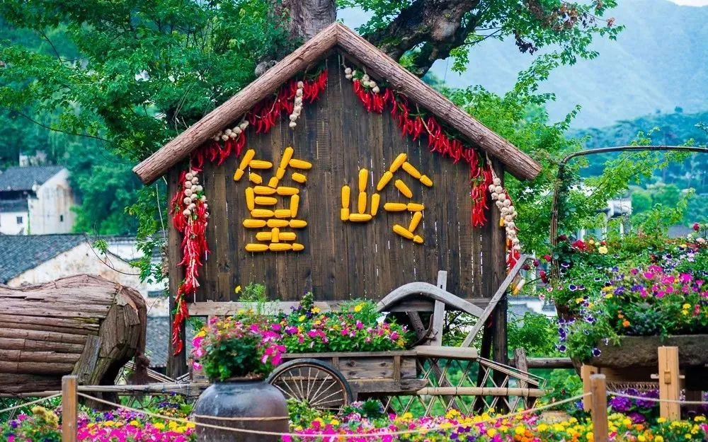 婺源 旅游概覽（這是一場說走就走的旅行）