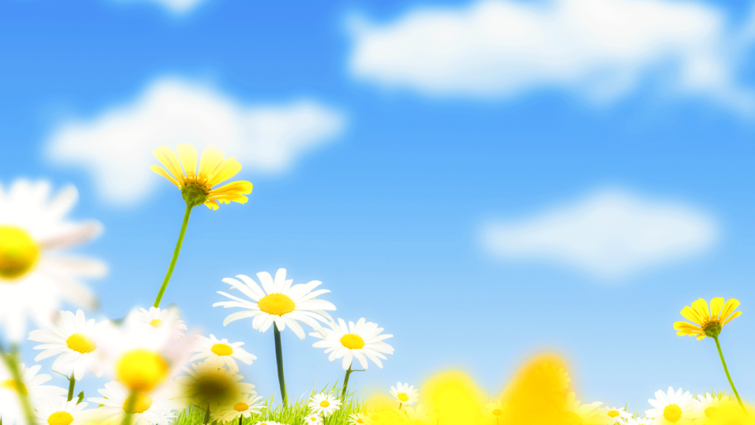 每天学习阳明心学，让自己的心灵不断提升