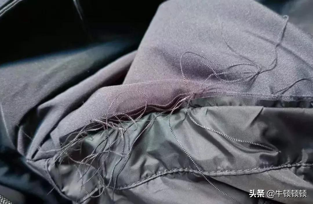 世界最贵大棉袄?加拿大鹅割韭菜传奇