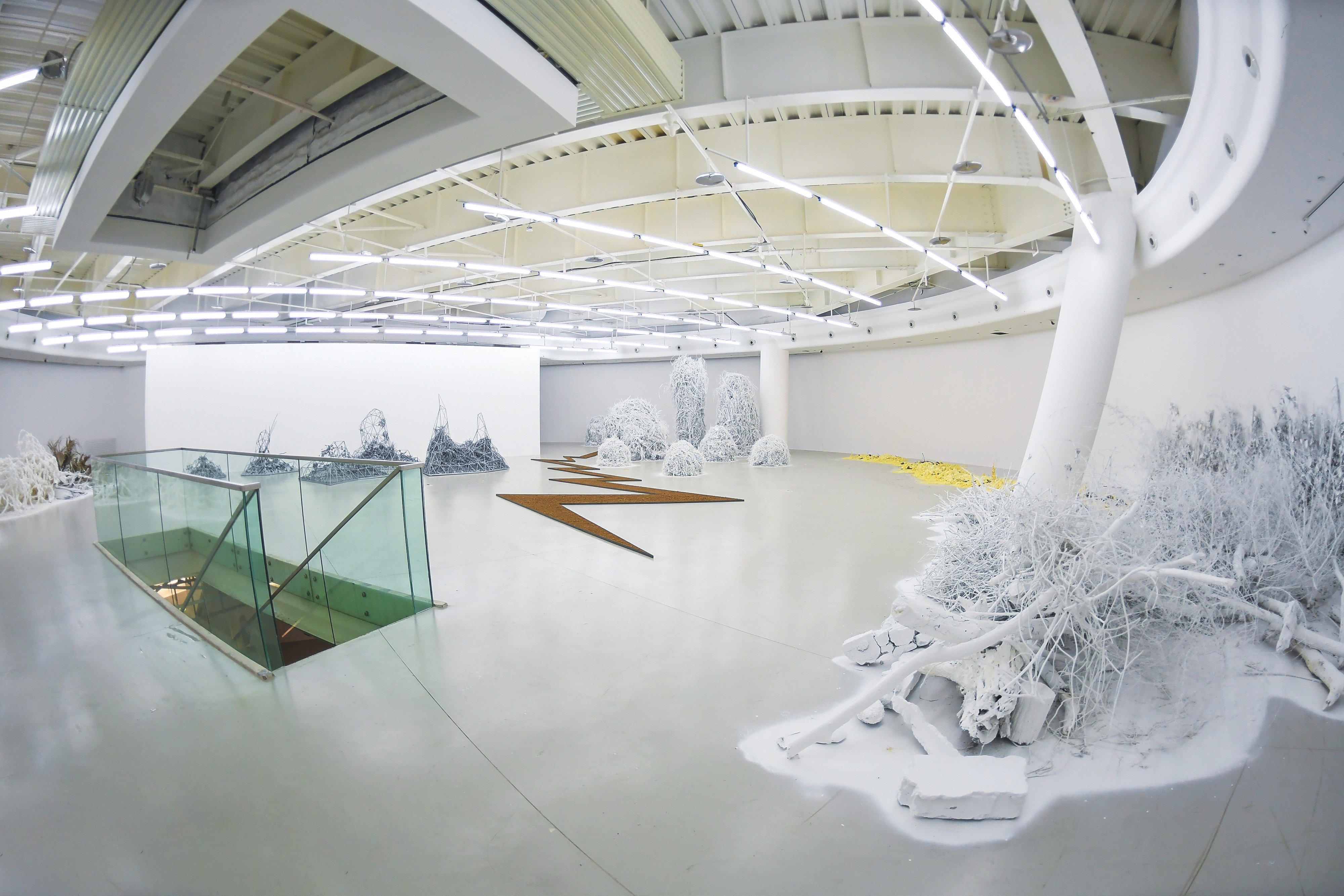 “休眠景观—童文敏、杨心广”展览正式在渝开幕