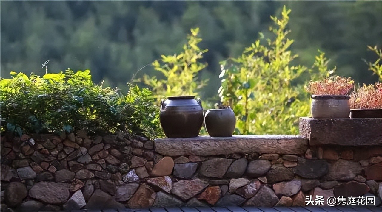 一个小院，花开四季，云淡风轻