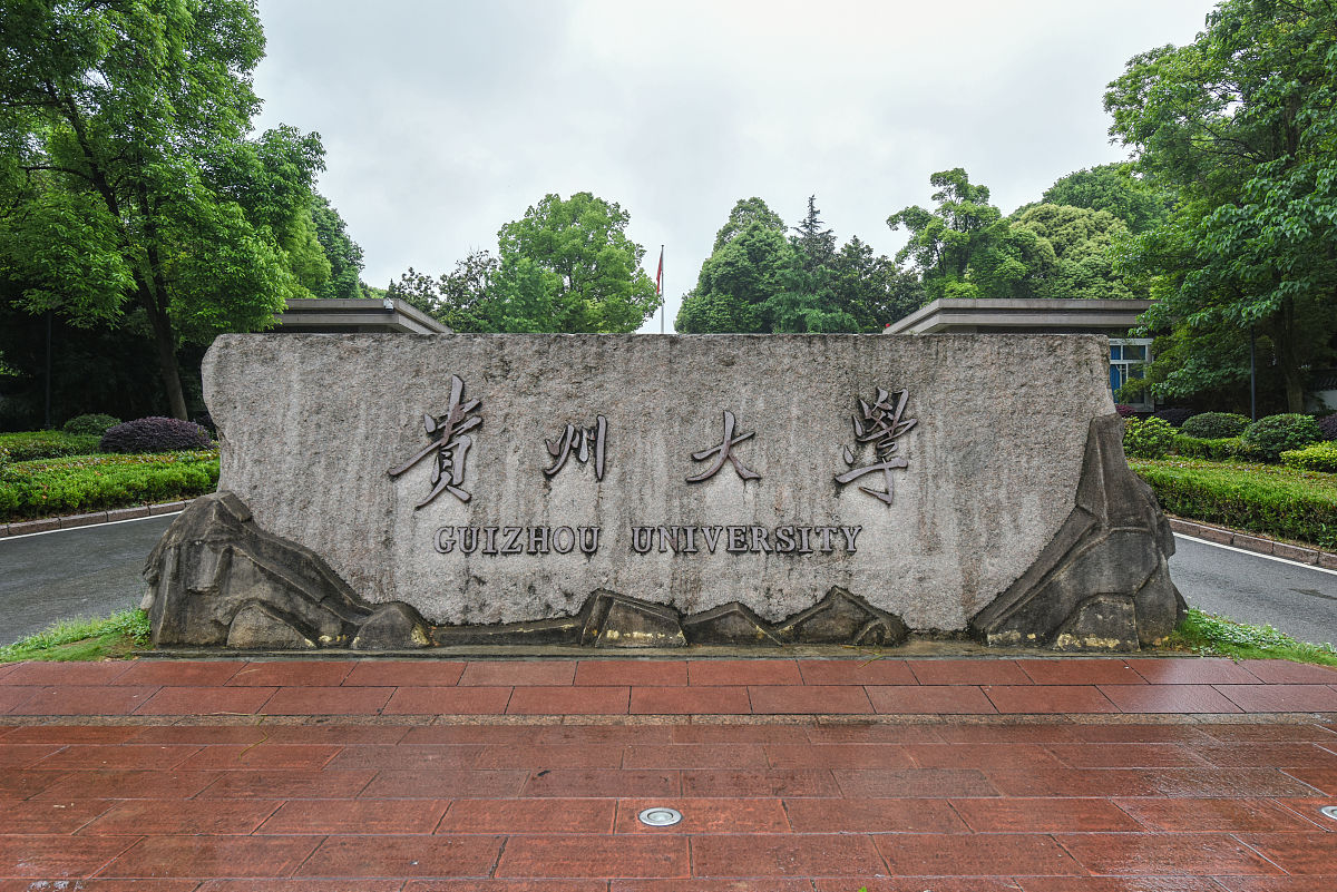 照顾性211贵州大学和普通一本深圳大学，怎么选，211还流行吗？