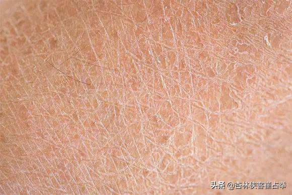 宣发是什么意思,宣发工作主要负责什么